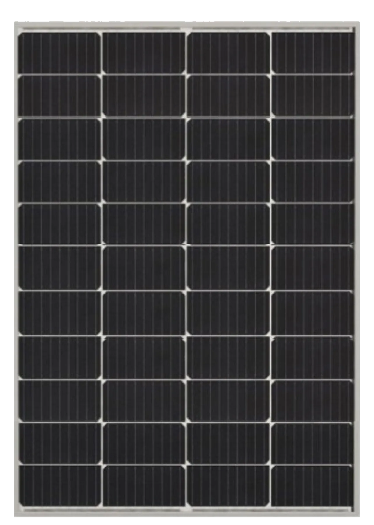 SW170M10H Monofacial Module